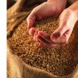 Productos integrales, no siempre tienen menos calorías healthy-grains